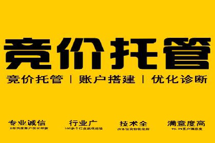 旅游行业SEM推广成功案例